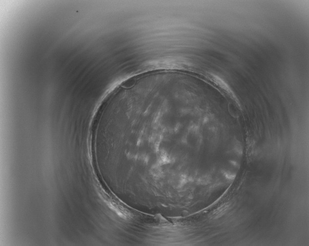 X0000067391035200604071748