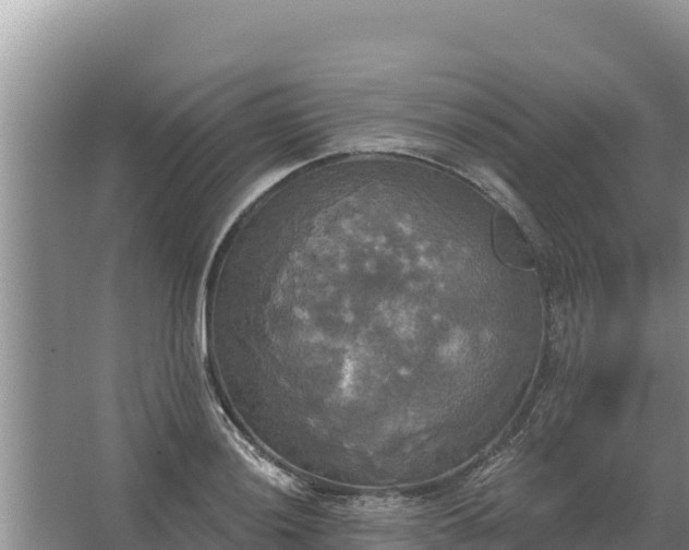 X0000067391036200604071748