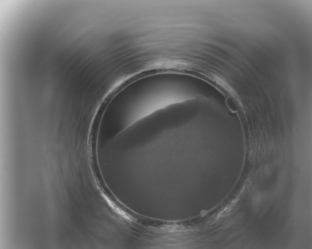 X0000067391037200604071748