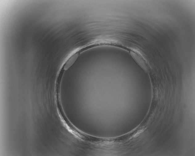 X0000067391038200604071748