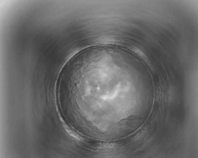 X0000067391039200604071748