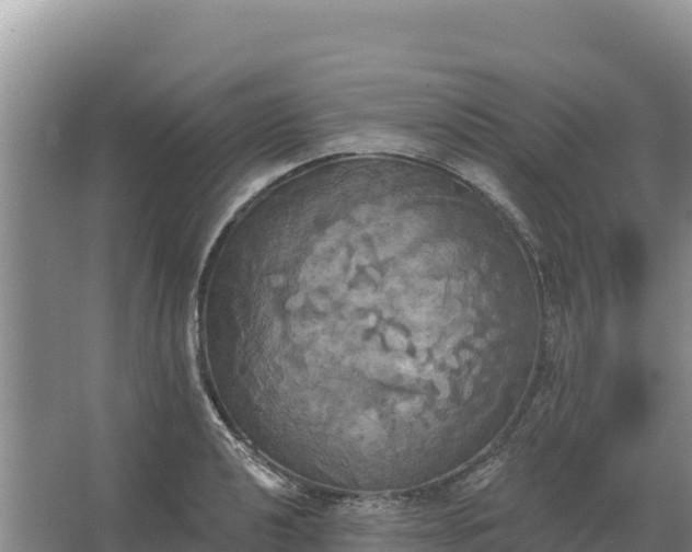 X0000067391040200604071748