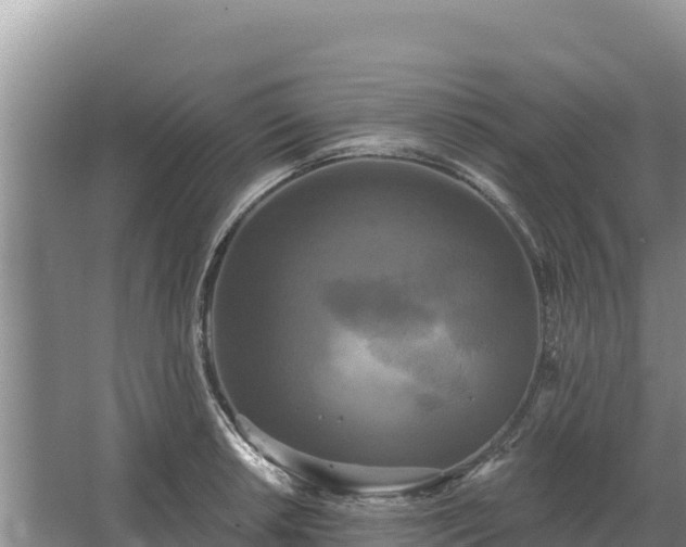 X0000067391042200604071748