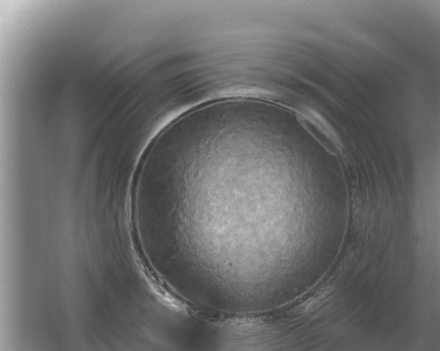 X0000067391044200604071748