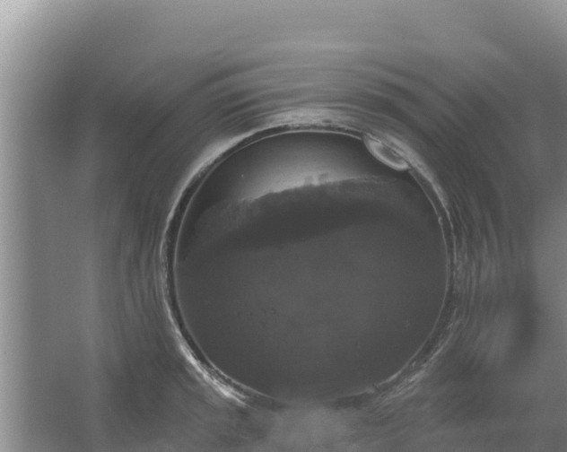 X0000067391045200604071748