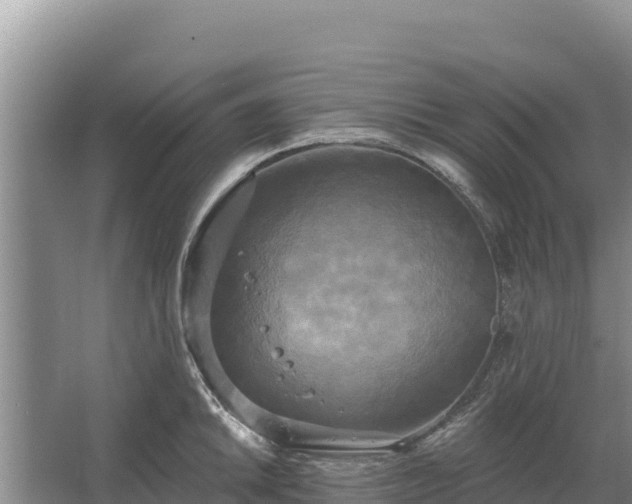 X0000067391046200604071748