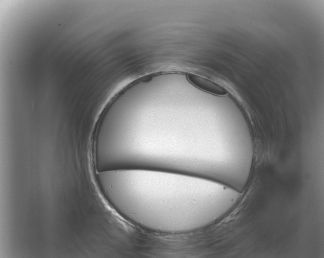 X0000067391048200604071748