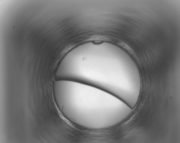 X0000067391049200604071748