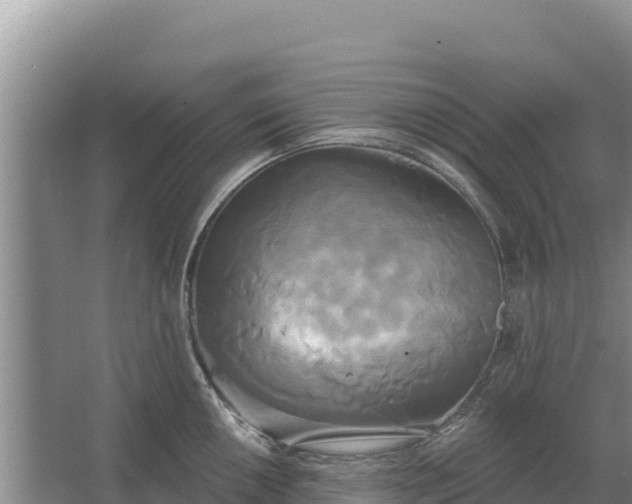 X0000067391050200604071748