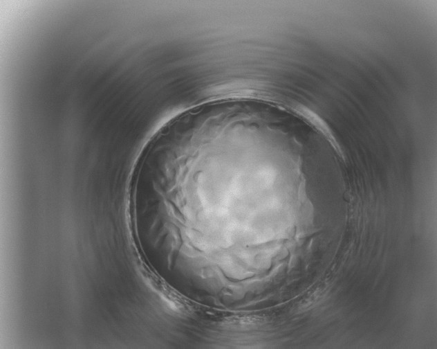 X0000067391051200604071748