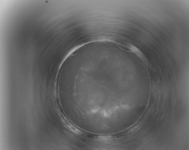 X0000067391052200604071748