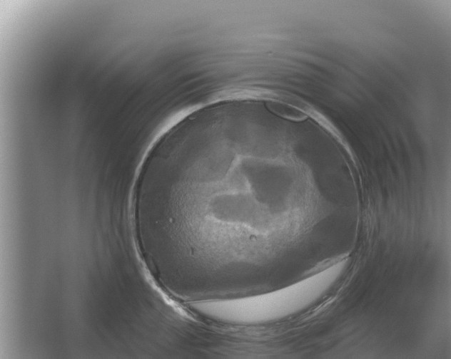 X0000067391053200604071748