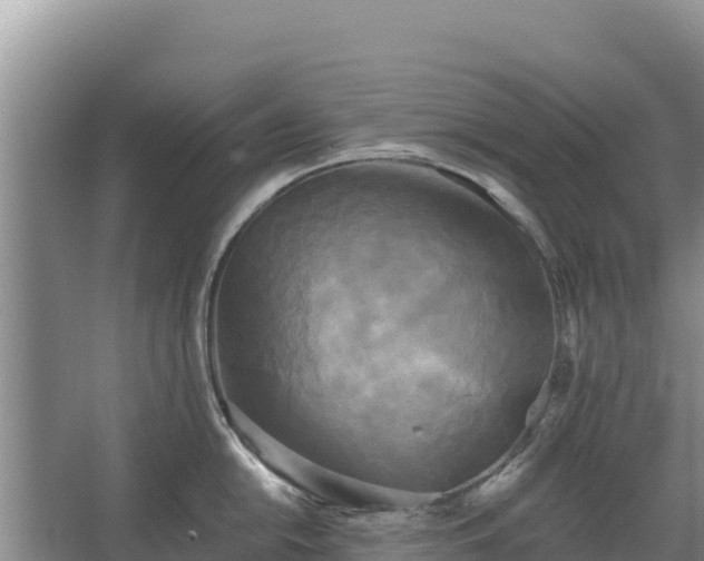 X0000067391054200604071748