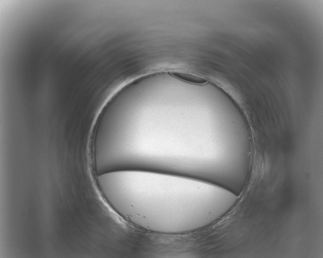 X0000067391056200604071748