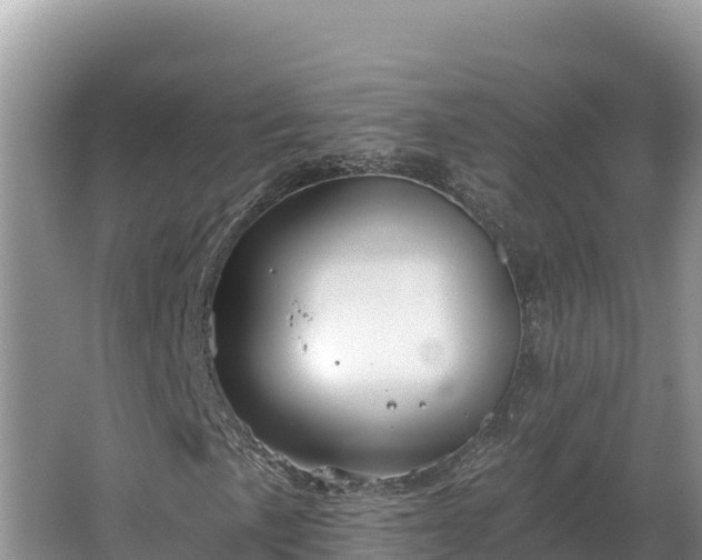 X0000067391057200604071748