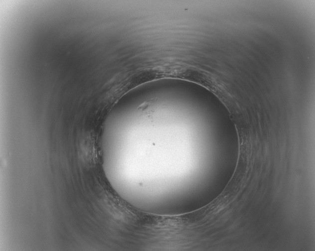 X0000067391058200604071748