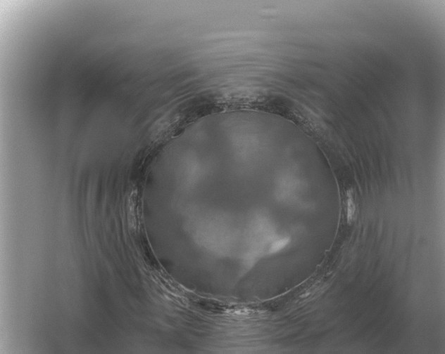 X0000067391059200604071748