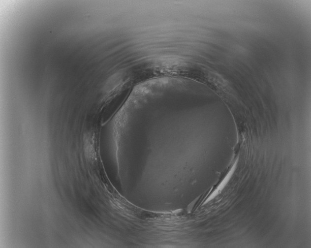 X0000067391060200604071748