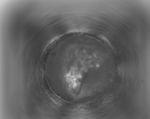 X0000067391064200604071748