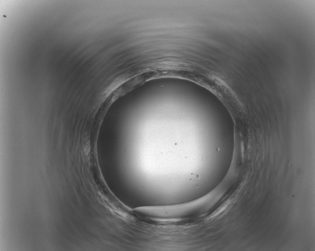 X0000067391065200604071748