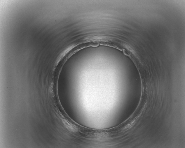 X0000067391066200604071748