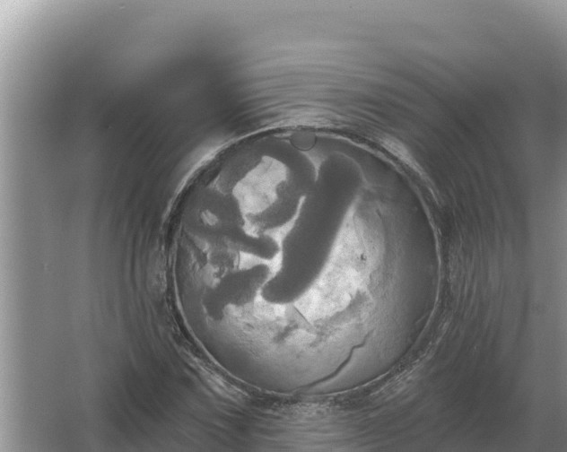 X0000067391067200604071747