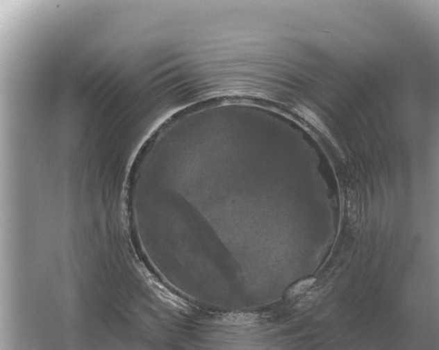 X0000067391068200604071747