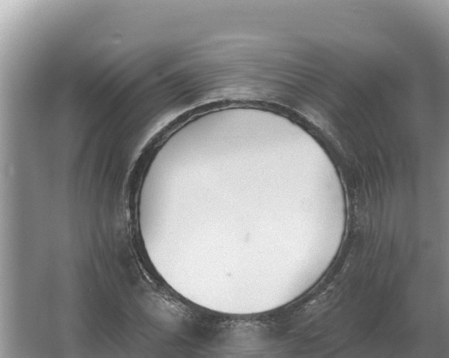 X0000067391070200604071747