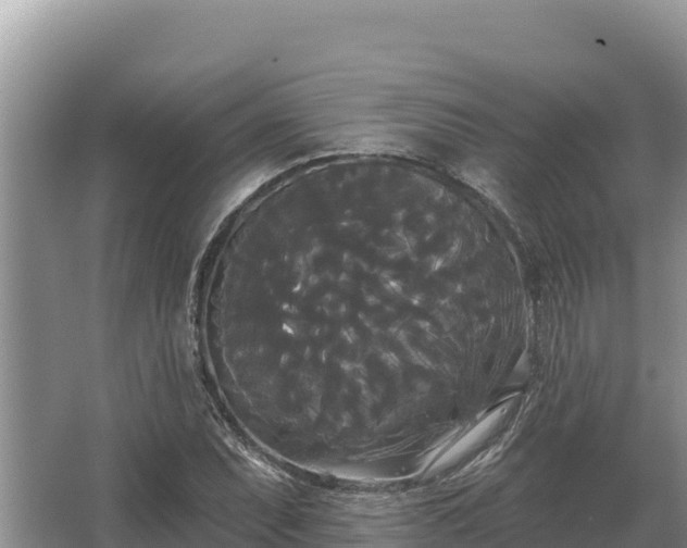 X0000067391071200604071747