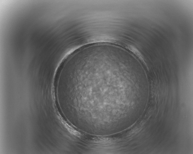 X0000067391072200604071747