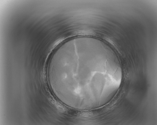 X0000067391074200604071747