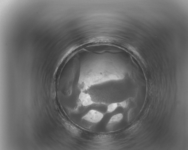 X0000067391075200604071747