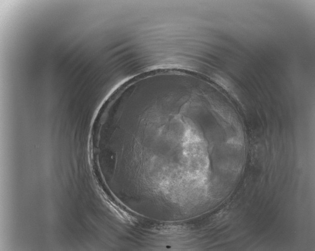 X0000067391076200604071747