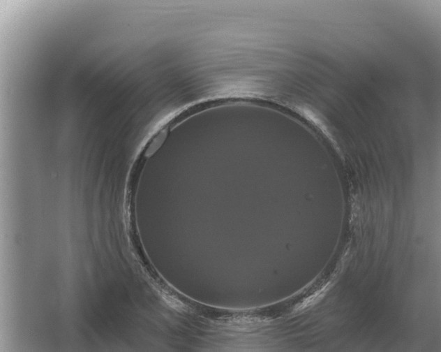 X0000067391077200604071747