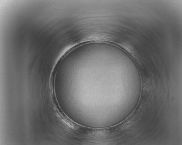 X0000067391078200604071747