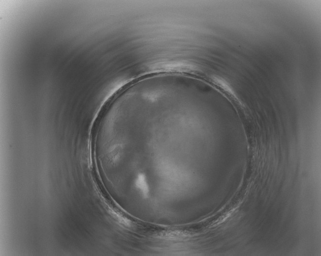 X0000067391079200604071747