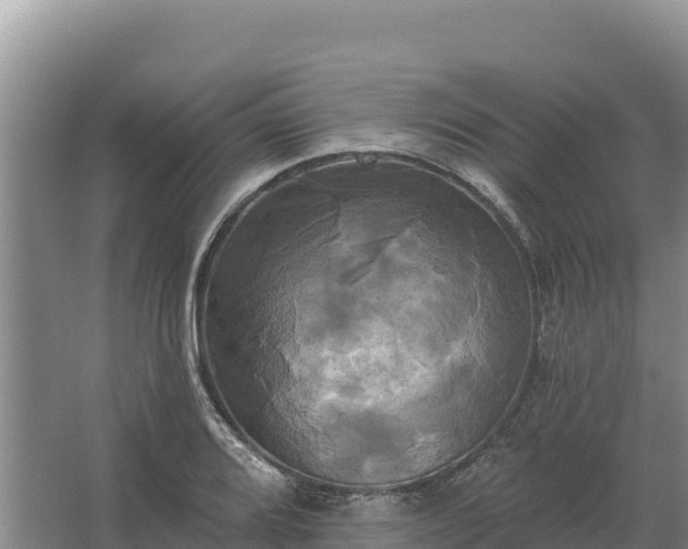 X0000067391080200604071747