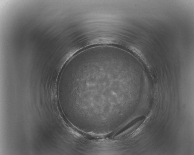 X0000067391081200604071747