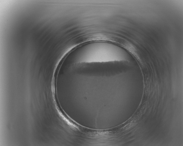 X0000067391084200604071747