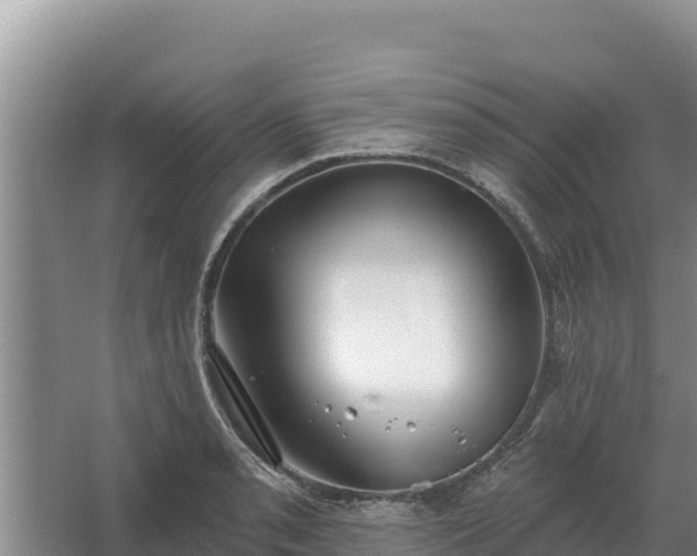 X0000067391085200604071747