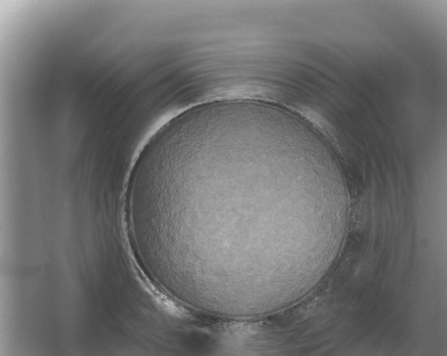 X0000067391086200604071747