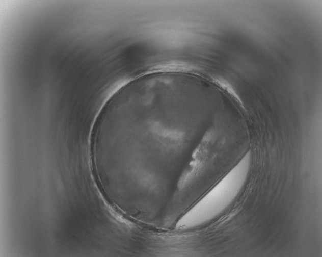 X0000067391087200604071747