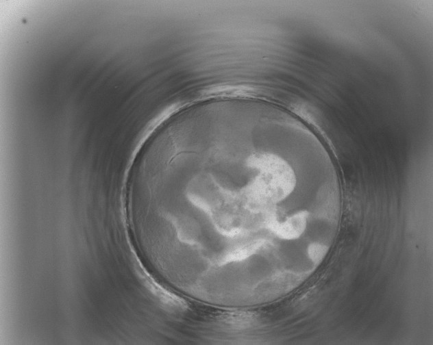 X0000067391090200604071747