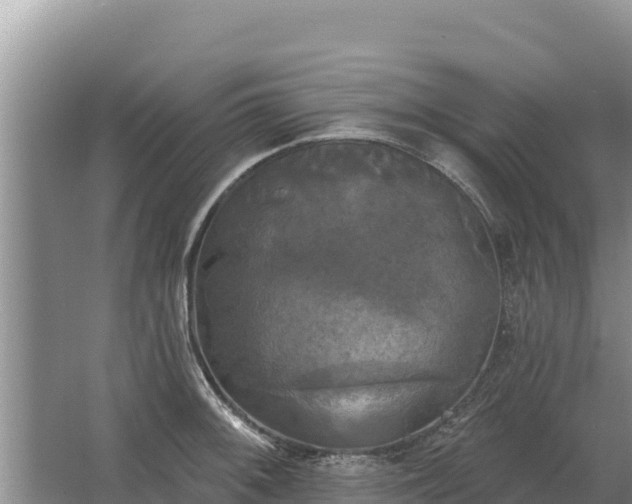 X0000067391092200604071747