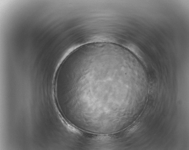 X0000067391094200604071747