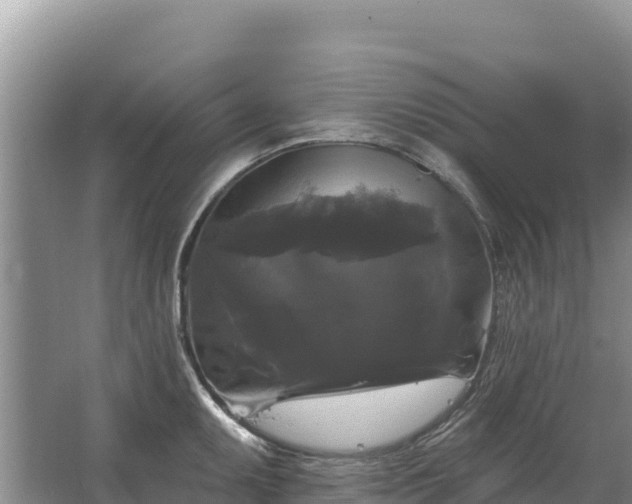 X0000067391095200604071747