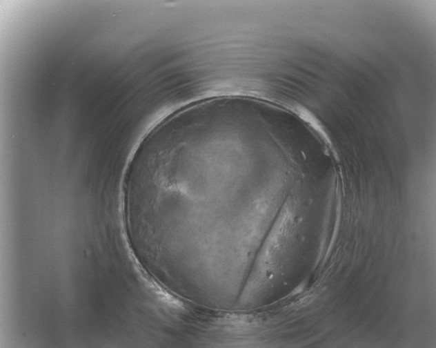 X0000067391096200604071747