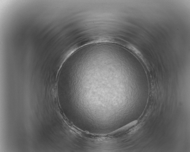 X0000067391097200604071747