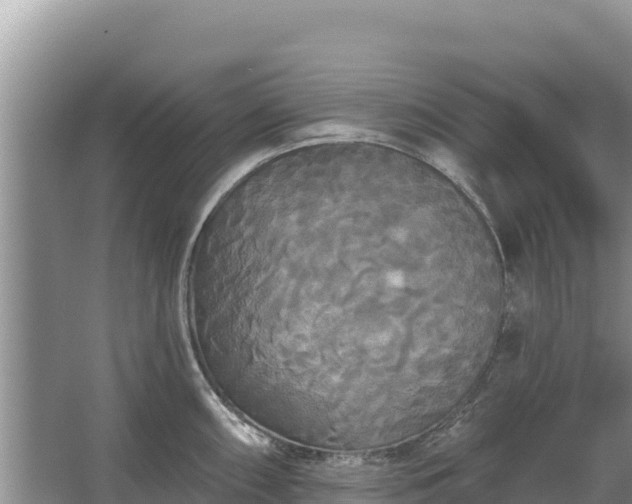 X0000067391098200604071747