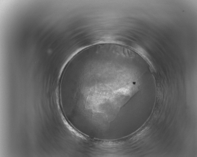 X0000067391100200604071747